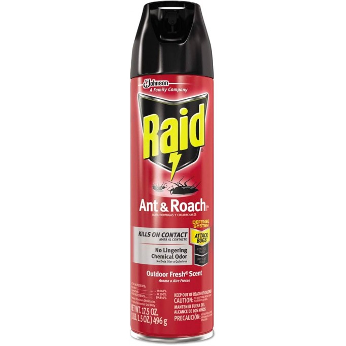 Raid-Ant Roach Outdoor Fresh