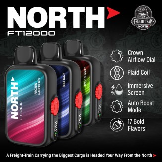 North 12000 Puffs