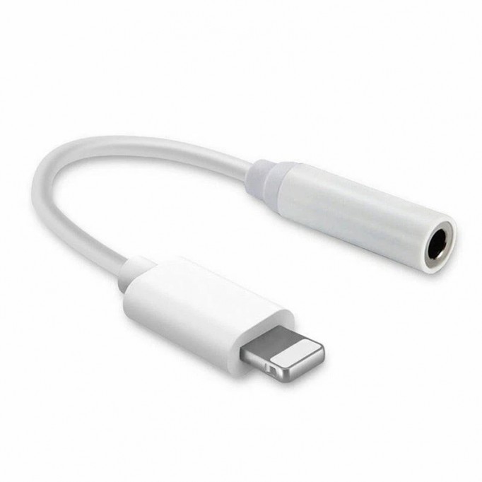 Apple Certified - Lightning to Aux Converter (1 Count)